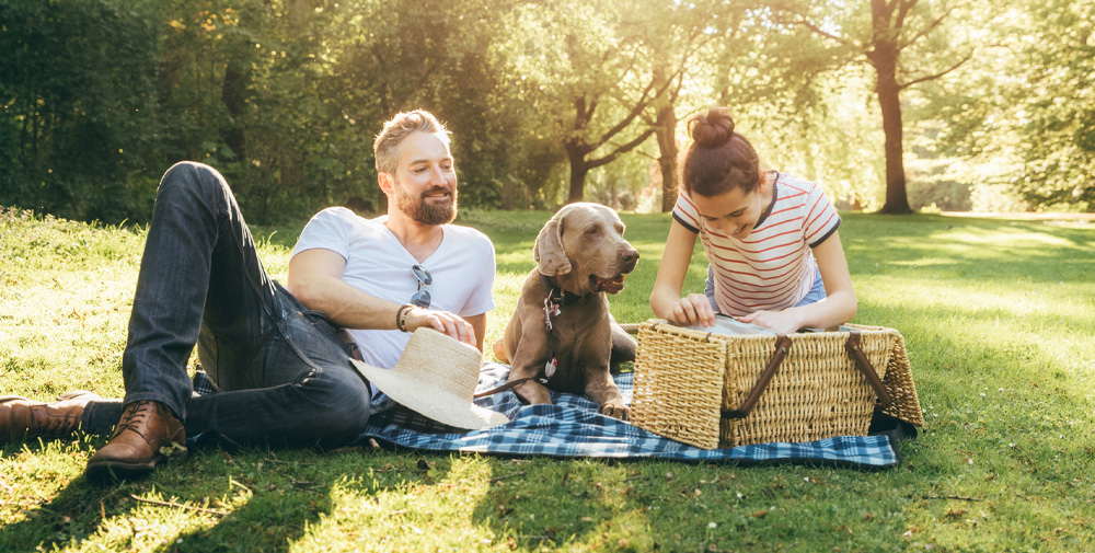 purelyinspired family picnic