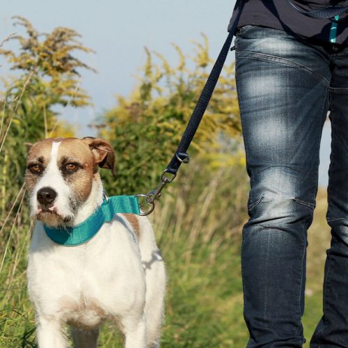 purelyinspired on the move